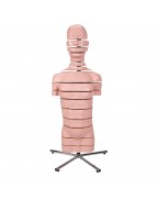 Diskli gövde, 15 disk - 3B Smart Anatomy