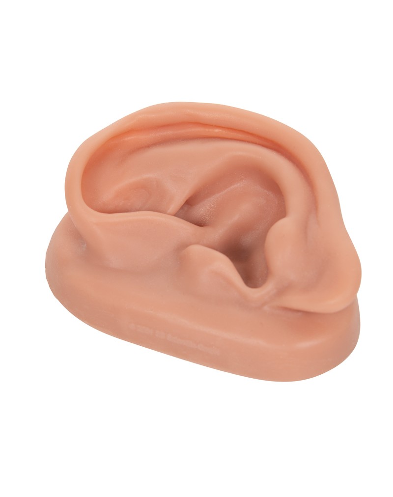 Acupuncture Ear, left