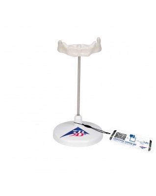 Destek üzerinde hiyoid - 3B Smart Anatomy