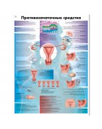 Birth Control