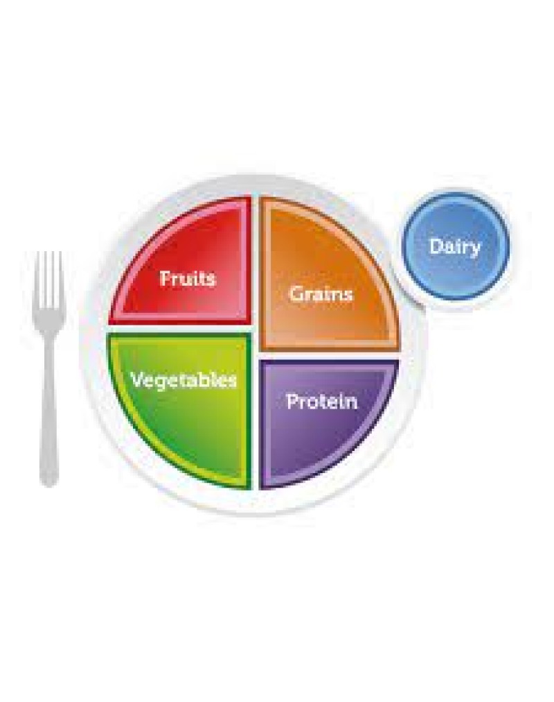 MyPlate (Benim Tabağım)