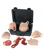 Neonatal Yara Kiti