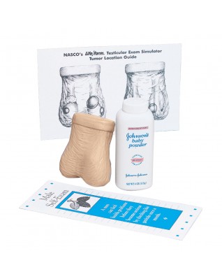Testicle Self Examination Model