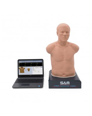 SAM II® — Öğrenci Oskültasyon Mankeni, açık tenli