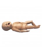 Articulating Fetus