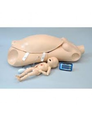 Maternal and Neonatal Birthing Torso