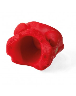 Pelvik Dolgu