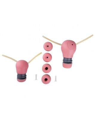 2 Early Pregnant Uteri