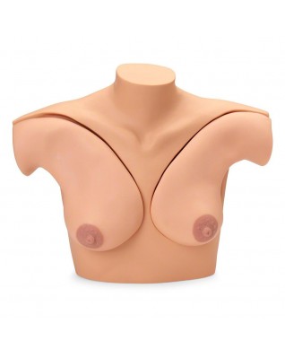 Breast Self Examination Simulator