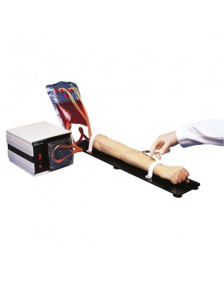 Arterial Stick Exercises and Injection Arm, 115V