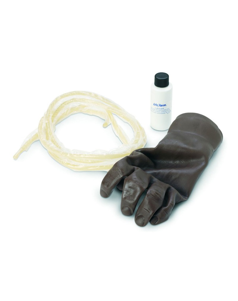 Veins for I.V. Injection Hand