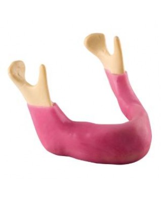 ORTHObones