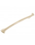 ORTHObones Standard Radius, left