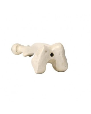ORTHObones Femur, sol