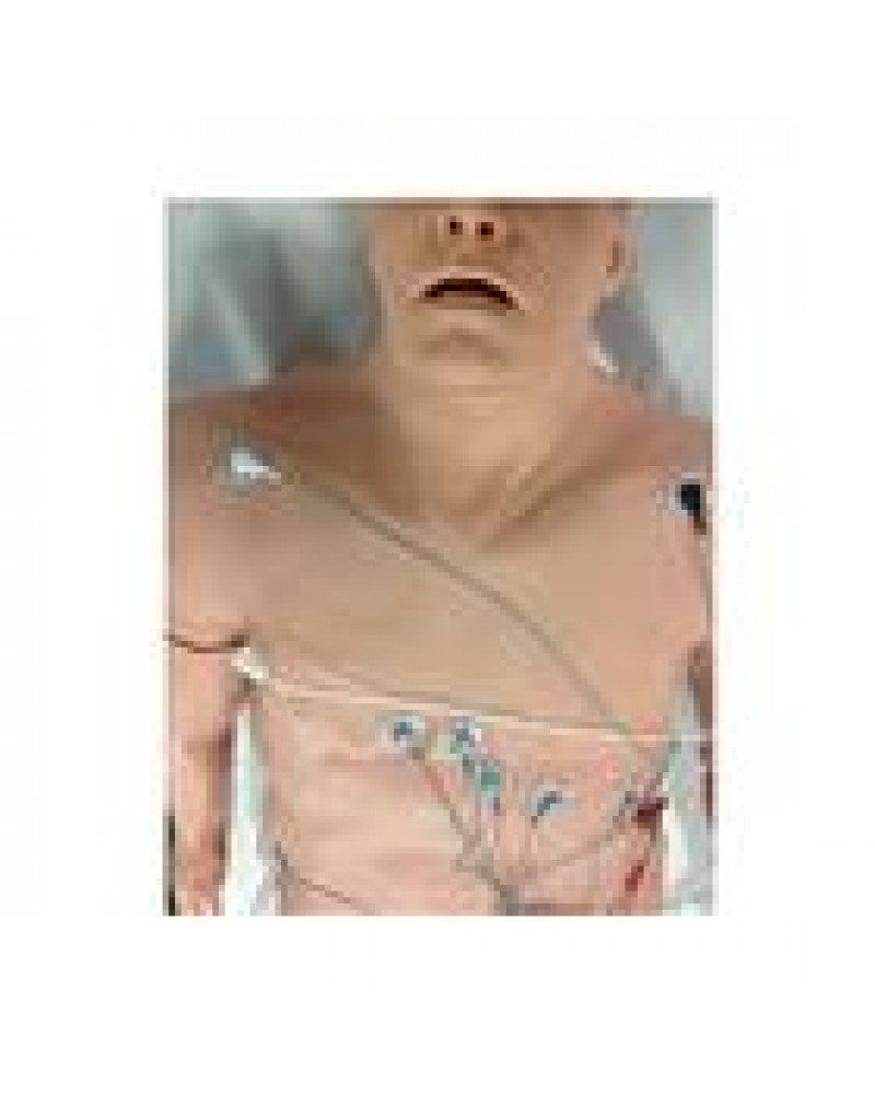 S.A.L.A.D. Simulator