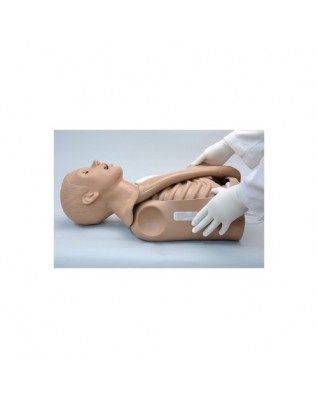 CPR Simon® Gövde Simülatörü OMNI®