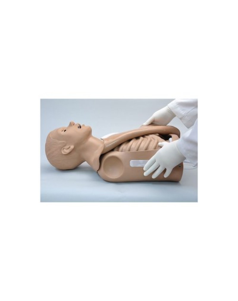 CPR Simon® Gövde Simülatörü OMNI®