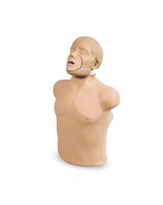 Yetişkin CPR Gövdesi - Çene itme manevrası uygulanabilen