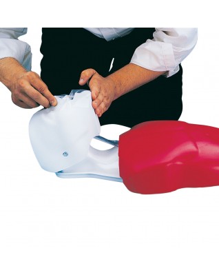 Basic Buddy™ - Temel CPR gövdesi