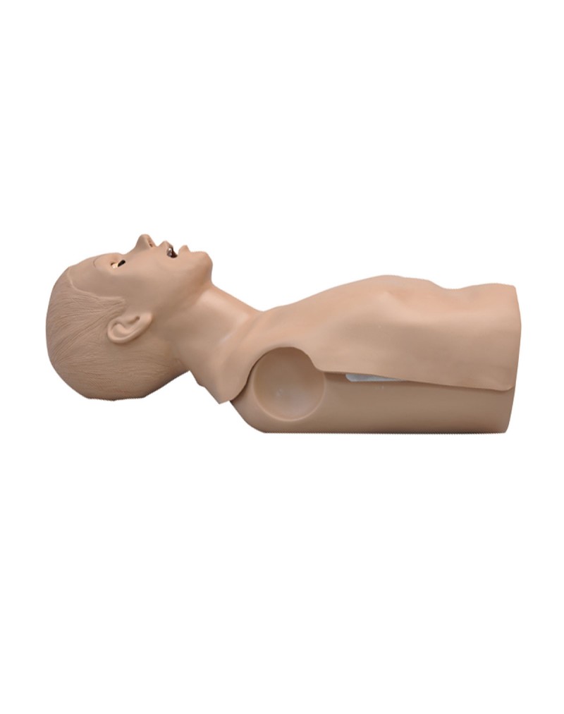 CPR Simon Gövde Simülatörü