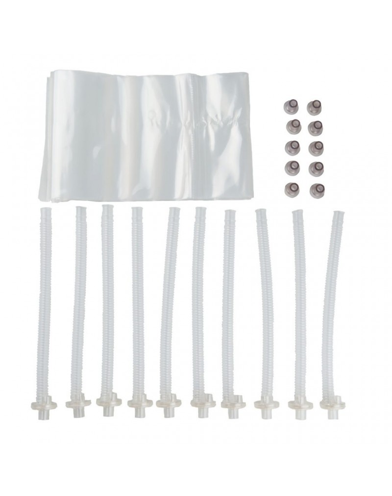 10 Adult Airway Systems