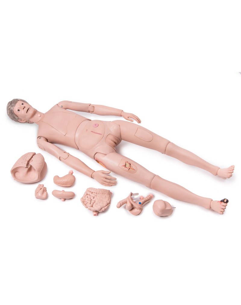 3B Scientific® Hasta bakım modeli, I