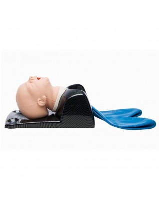AirSim Baby X