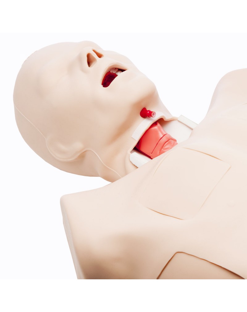 Truman Trauma X Travma Eğitim Modeli