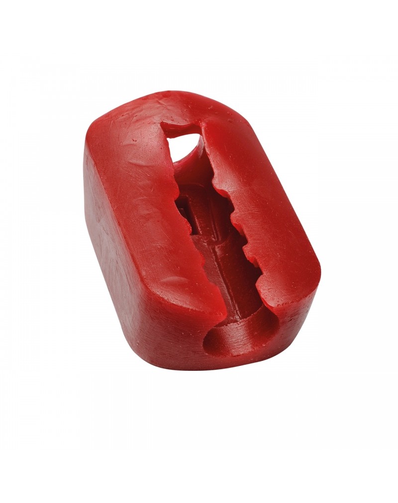 Cricotracheotomy Neck Muscle