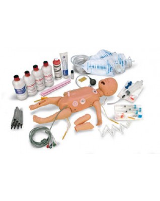 İntraosseöz Bacak Yedek Derisi (4'lü Paket) ve Kemikler (10'lu Paket)
