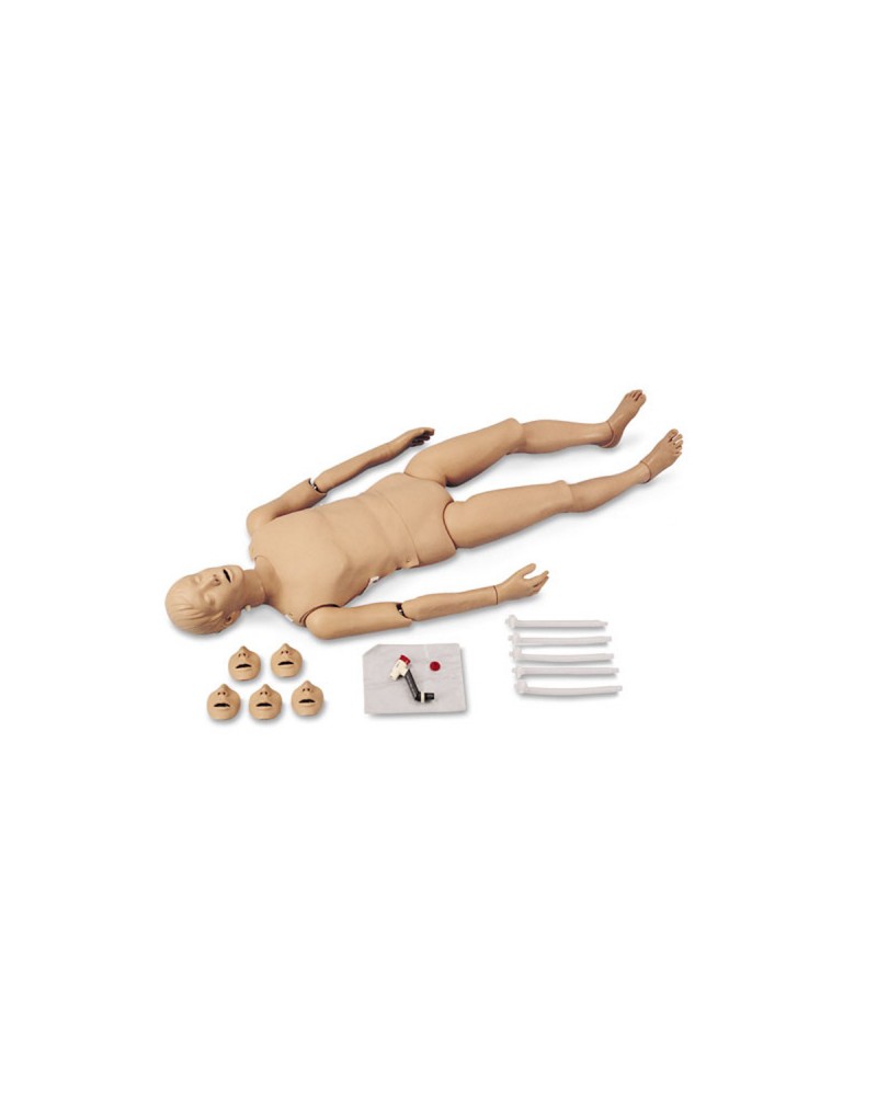 Yetişkin CPR Eğitim Modeli