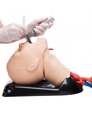 AirSim Combo Bronchi X
