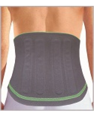 2910 Lumbocare Comfort C