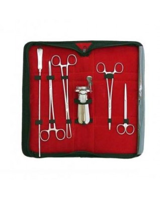 A RİA SET JSF-2262