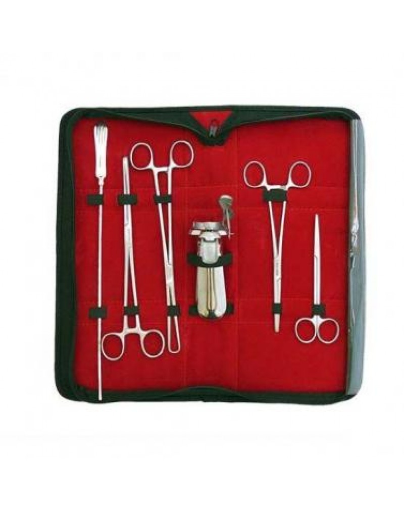 A RİA SET JSF-2262