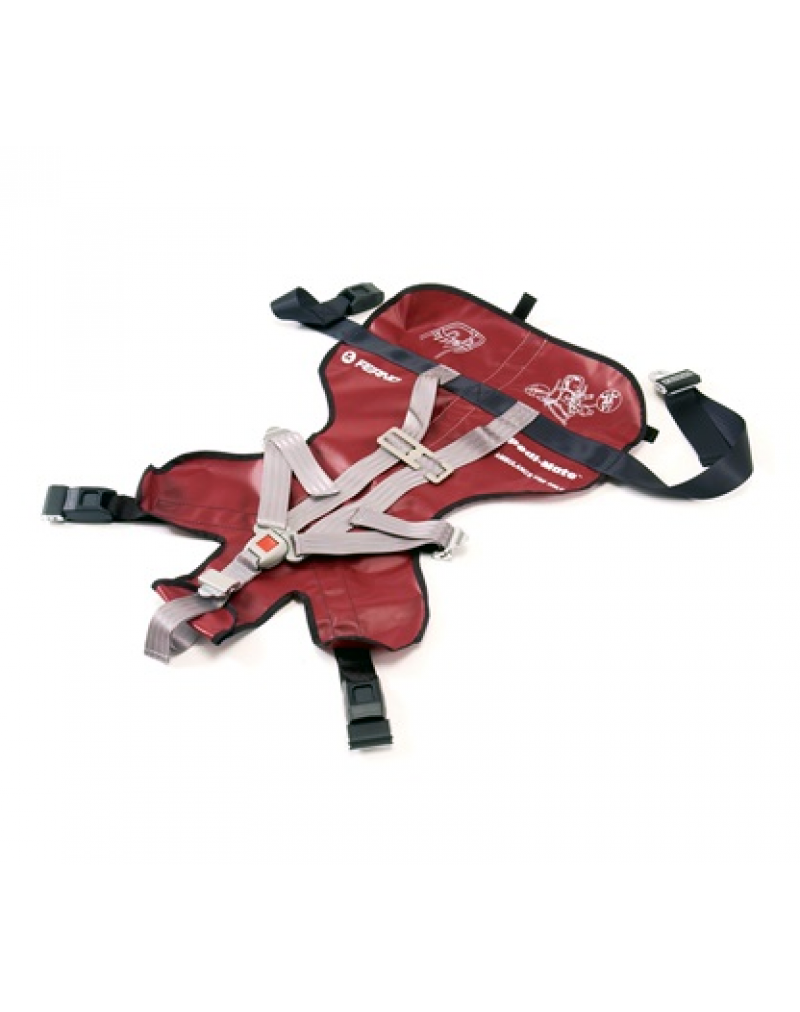 Ferno ® Model 678 Pedi-Mate ® Pediatric Restraint System
