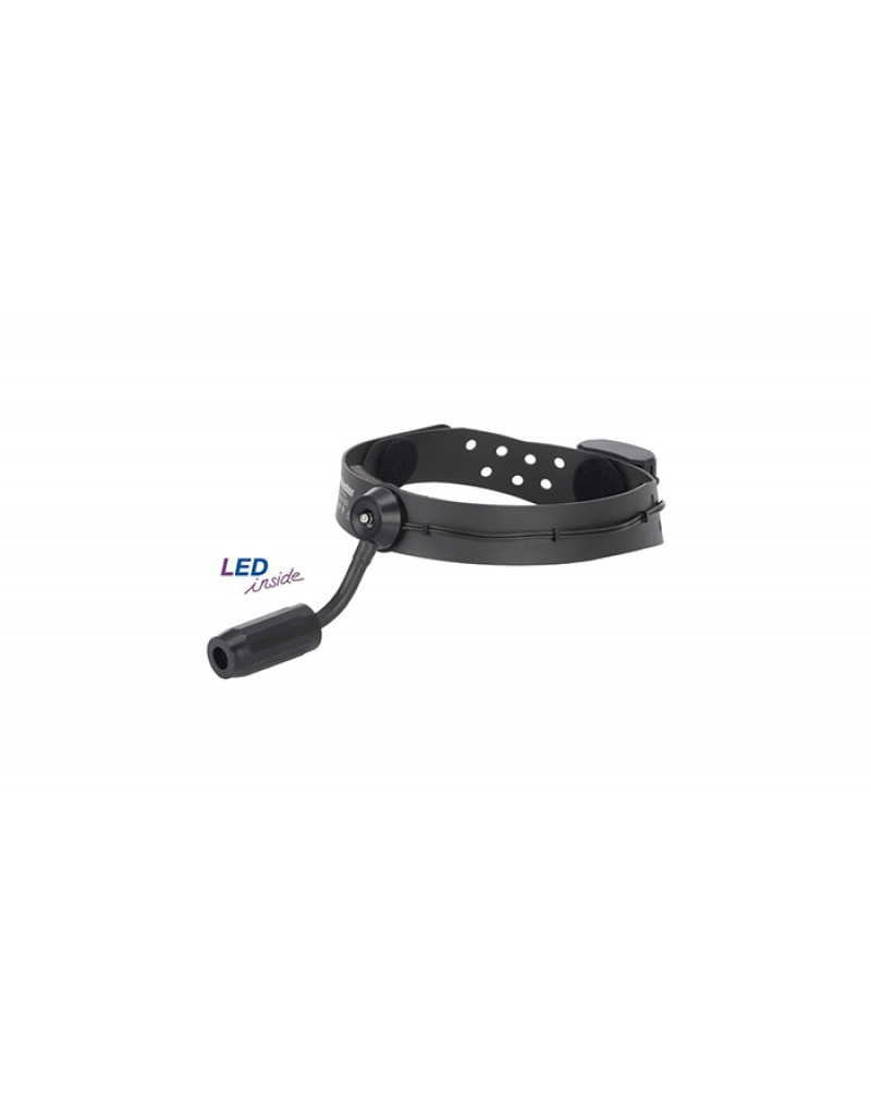 Riester – 6091 Alın Lambası