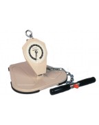 Baseline Back Leg Chest Dynamometer