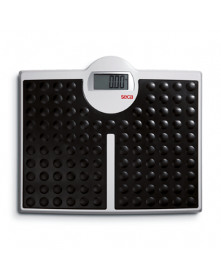SECA 813 BÜYÜK EKRANLI HASSAS BASKÜL (200KG) 