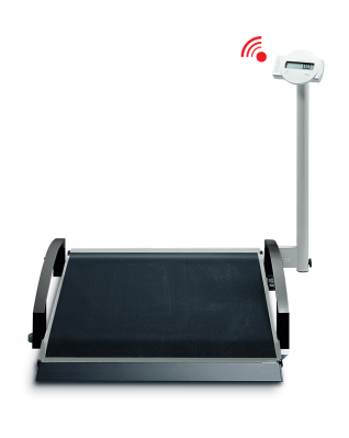 SECA 665  Elektronik Tekerlekli Terazisi, Class III, 300kg 