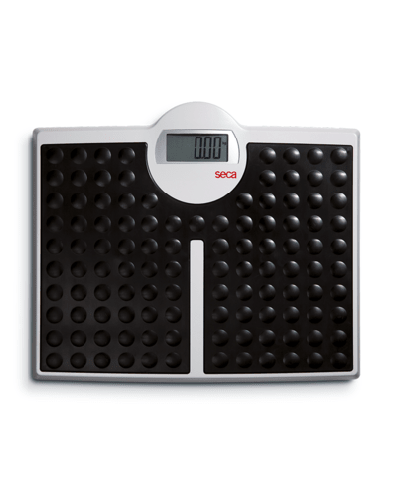 SECA 813 BÜYÜK EKRANLI HASSAS BASKÜL (200KG) 