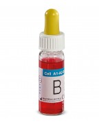 TEST IT Cell Reverse A1-B