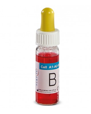 TEST IT Cell Reverse A1-B